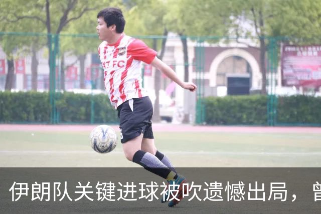 伊朗队关键进球被吹遗憾出局，曾任教哈佛大学的伊朗学者向FIFA索赔10亿美元
